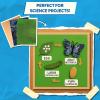 Skillmatics Science Construction Paper for Kids – 60 Double-Sided Printed Sheets (9 x 12), Patterned Craft Paper for Art Projects, STEM Activities, DIY Crafts, Scrapbooking & School Supplies(Life Science)
