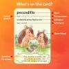 Skillmatics Vocabulary Flash Cards for SAT Prep – Learn 100 Words with Wordplay, Visuals & Soundplay, Study Aid & Educational Gift for Ages 12, 13, 14 & Up, Screen-Free Language Game(SAT)