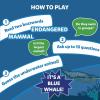 Skillmatics G10 Dinosaurs, Perfect for Boys, Girls, Kids, and Families Who Love Card Games, Toys, Travel Games, Gifts for Ages 8, 9, 10 & Up(9. Underwater Animals)