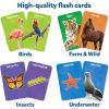 Skillmatics Flash Cards – 500 Sight Words for Preschool (Pre-K), Kindergarten, 1st, 2nd, 3rd Grade Gifts, Includes The Dolch & Fry Word List & 6 Unique Games(First 100 Animals)
